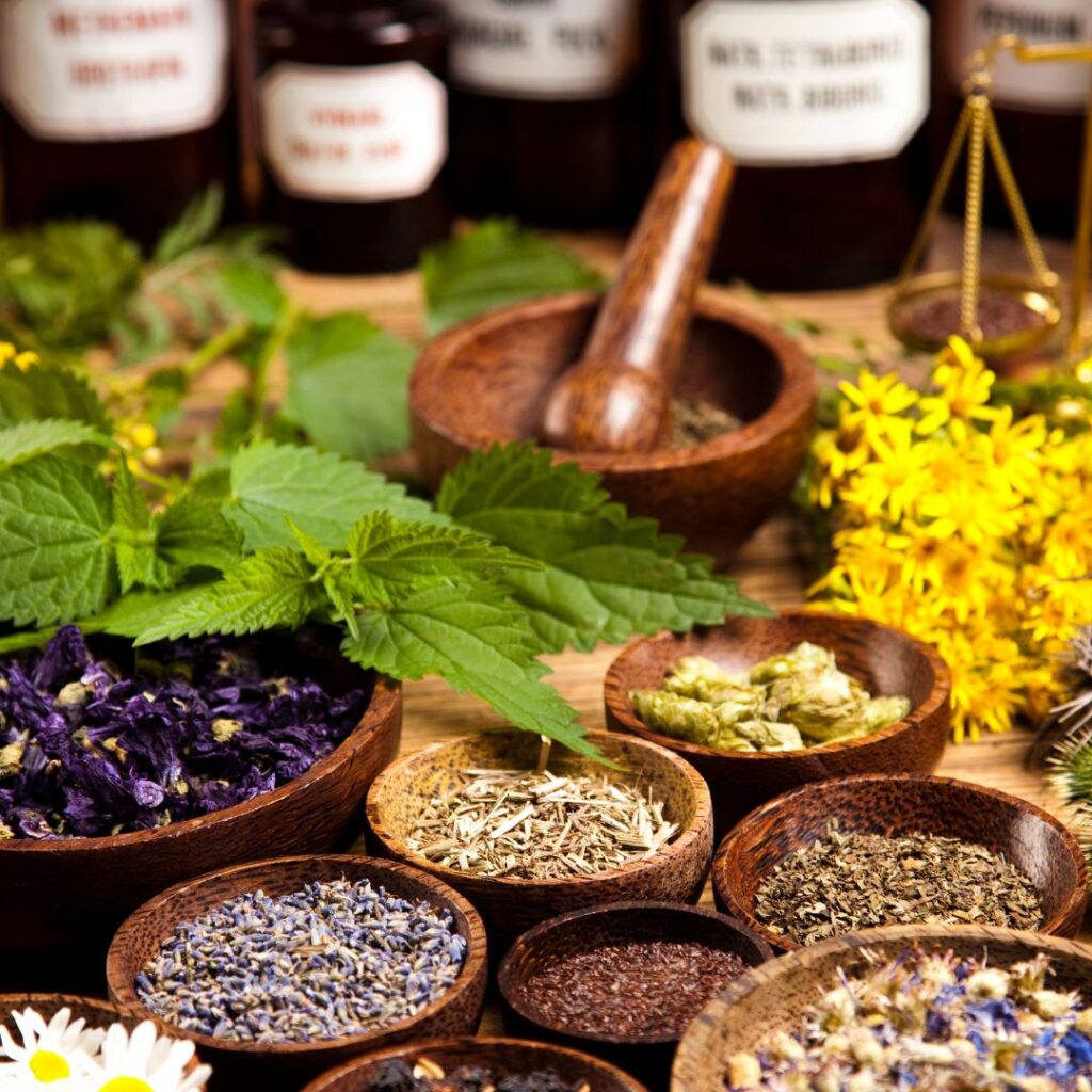 Ayurveda Store in India