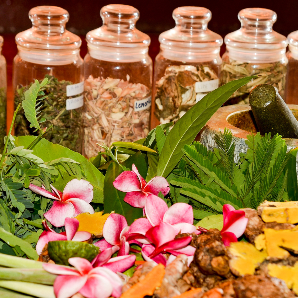 Ayurveda Store in India