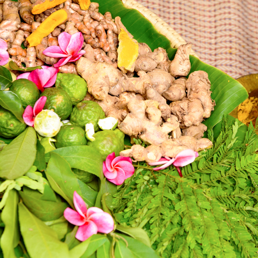 Ayurveda Store in India